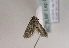  ( - TLMF Lep 02117)  @12 [ ] Copyright  TLMF 2092 Unspecified