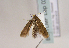  ( - TLMF Lep 02226)  @12 [ ] Copyright  TLMF 2201 Unspecified