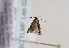  ( - TLMF Lep 02306)  @12 [ ] Copyright  TLMF 2011 Unspecified