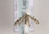  ( - TLMF Lep 02307)  @12 [ ] Copyright  TLMF 2011 Unspecified
