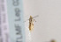  ( - TLMF Lep 02317)  @12 [ ] Copyright  TLMF 2011 Unspecified