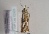  ( - TLMF Lep 02325)  @12 [ ] Copyright  TLMF 2011 Unspecified