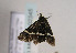  ( - TLMF Lep 02345)  @12 [ ] Copyright  TLMF 2011 Unspecified