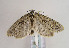  ( - TLMF Lep 02371)  @13 [ ] Copyright  TLMF 2011 Unspecified