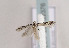  ( - TLMF Lep 02376)  @11 [ ] Copyright  TLMF 2011 Unspecified