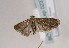  ( - TLMF Lep 02379)  @13 [ ] Copyright  TLMF 2011 Unspecified