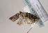  ( - TLMF Lep 02382)  @12 [ ] Copyright  TLMF 2011 Unspecified