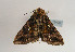  ( - TLMF Lep 02408)  @12 [ ] Copyright  TLMF 2011 Unspecified