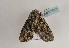  ( - TLMF Lep 02412)  @12 [ ] Copyright  TLMF 2011 Unspecified