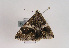  ( - TLMF Lep 02511)  @13 [ ] Copyright  TLMF 2011 Unspecified