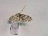  ( - TLMF Lep 02569)  @12 [ ] Copyright  TLMF 2011 Unspecified