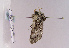  ( - TLMF Lep 02651)  @12 [ ] Copyright  TLMF 2011 Unspecified