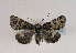  ( - TLMF Lep 02703)  @14 [ ] Copyright  TLMF 2011 Unspecified