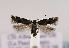  ( - TLMF Lep 02707)  @12 [ ] Copyright  TLMF 2011 Unspecified