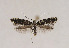  ( - TLMF Lep 02710)  @12 [ ] Copyright  TLMF 2011 Unspecified