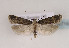  ( - TLMF Lep 02716)  @13 [ ] Copyright  TLMF 2011 Unspecified