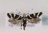  ( - TLMF Lep 02717)  @13 [ ] Copyright  TLMF 2011 Unspecified