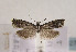  ( - TLMF Lep 02728)  @13 [ ] Copyright  TLMF 2011 Unspecified