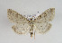  ( - TLMF Lep 02764)  @13 [ ] Copyright  TLMF 2044 Unspecified