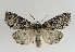  ( - TLMF Lep 02770)  @14 [ ] Copyright  TLMF 2050 Unspecified