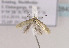  ( - TLMF Lep 02843)  @12 [ ] Copyright  TLMF 2123 Unspecified