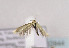  ( - TLMF Lep 02844)  @12 [ ] Copyright  TLMF 2124 Unspecified