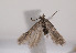  ( - TLMF Lep 02847)  @13 [ ] Copyright  TLMF 2127 Unspecified