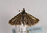  ( - TLMF Lep 02854)  @13 [ ] Copyright  TLMF 2011 Unspecified