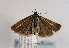  ( - TLMF Lep 02855)  @13 [ ] Copyright  TLMF 2011 Unspecified