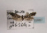  ( - TLMF Lep 02867)  @11 [ ] Copyright  TLMF 2011 Unspecified
