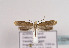 ( - TLMF Lep 02869)  @14 [ ] Copyright  TLMF 2011 Unspecified
