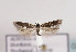  ( - TLMF Lep 02873)  @13 [ ] Copyright  TLMF 2011 Unspecified