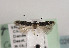  ( - TLMF Lep 02876)  @14 [ ] Copyright  TLMF 2011 Unspecified