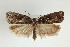  ( - TLMF Lep 02881)  @14 [ ] Copyright  TLMF 2011 Unspecified