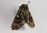  ( - TLMF Lep 02898)  @12 [ ] Copyright  TLMF 2011 Unspecified