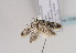  ( - TLMF Lep 02899)  @12 [ ] Copyright  TLMF 2011 Unspecified