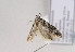  ( - TLMF Lep 02900)  @12 [ ] Copyright  TLMF 2011 Unspecified