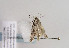  ( - TLMF Lep 02908)  @12 [ ] Copyright  TLMF 2011 Unspecified