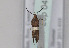  ( - TLMF Lep 04358)  @12 [ ] CreativeCommons - Attribution Non-Commercial Share-Alike (2011) Peter Huemer Tiroler Landesmuseum Ferdinandeum