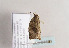  ( - TLMF Lep 04479)  @12 [ ] CreativeCommons - Attribution Non-Commercial Share-Alike (2011) Peter Huemer Tiroler Landesmuseum Ferdinandeum