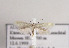  ( - TLMF Lep 04548)  @12 [ ] CreativeCommons - Attribution Non-Commercial Share-Alike (2011) Peter Huemer Tiroler Landesmuseum Ferdinandeum