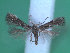  ( - KLM Lep 00206)  @13 [ ] CreativeCommons - Attribution Non-Commercial Share-Alike (2012) Wieser Christian Landesmuseum Karnten