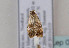  ( - TLMF Lep 07276)  @12 [ ] CreativeCommons - Attribution Non-Commercial Share-Alike (2012) Peter Huemer Tiroler Landesmuseum Ferdinandeum