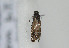  ( - TLMF Lep 08676)  @12 [ ] Unspecified (default): All Rights Reserved  Unspecified Tiroler Landesmuseum Ferdinandeum