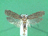  ( - KLM Lep 00623)  @13 [ ] CreativeCommons - Attribution Non-Commercial Share-Alike (2012) Christian Wieser Landesmuseum Kärnten