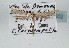  ( - TLMF Lep 09002)  @11 [ ] CreativeCommons - Attribution Non-Commercial Share-Alike (2013) Peter Huemer Tiroler Landesmuseum Ferdinandeum