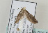 ( - TLMF Lep 09143)  @12 [ ] CreativeCommons - Attribution Non-Commercial Share-Alike (2013) Peter Huemer Tiroler Landesmuseum Ferdinandeum