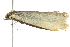  ( - BIOUG00829-C01)  @12 [ ] CreativeCommons - Attribution (2011) CBG Photography Group Centre for Biodiversity Genomics