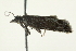  ( - BIOUG00831-B08)  @12 [ ] CreativeCommons - Attribution (2011) CBG Photography Group Centre for Biodiversity Genomics