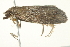  ( - BIOUG00831-D02)  @12 [ ] CreativeCommons - Attribution (2011) CBG Photography Group Centre for Biodiversity Genomics